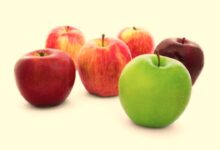 خواص سیب چیست و مواد تشکیل دهنده سیب چیست
